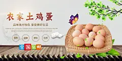 插图简约高端创意农家土鸡蛋展板