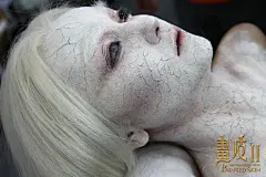 《画皮2》曝台版海报揭周迅换皮全过程(23)