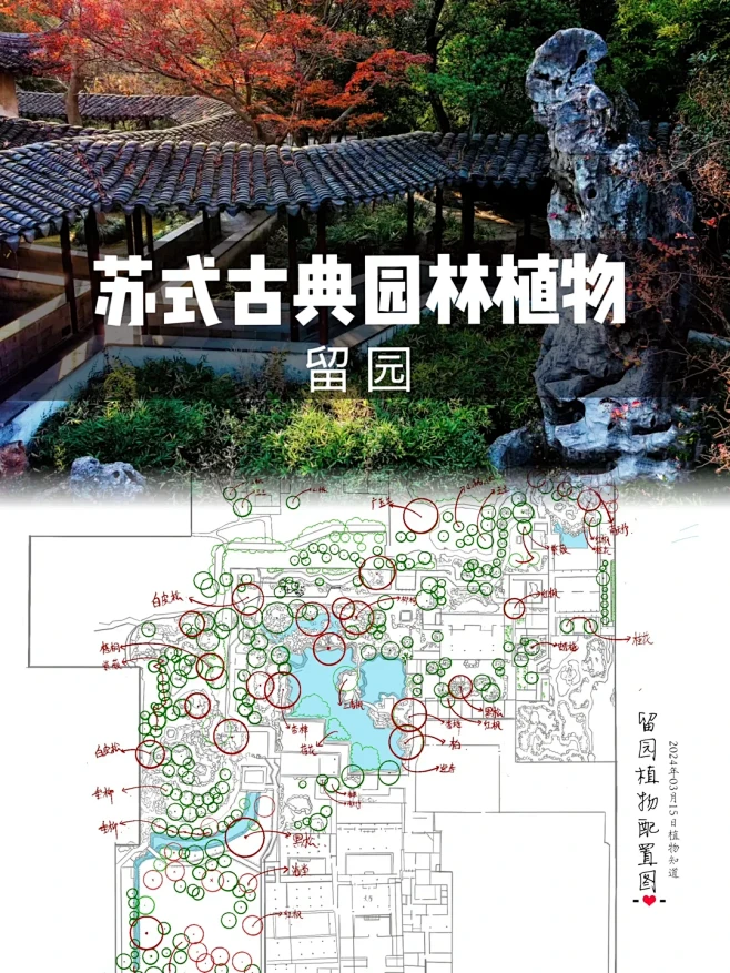 苏式古典园林植物｜留园 - 小红书-花瓣网
