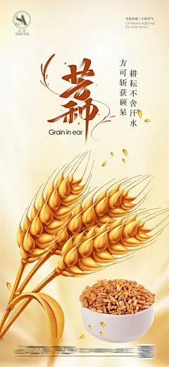 【南门网】广告 海报 二十四节气 芒种 麦子 金黄 麦穗