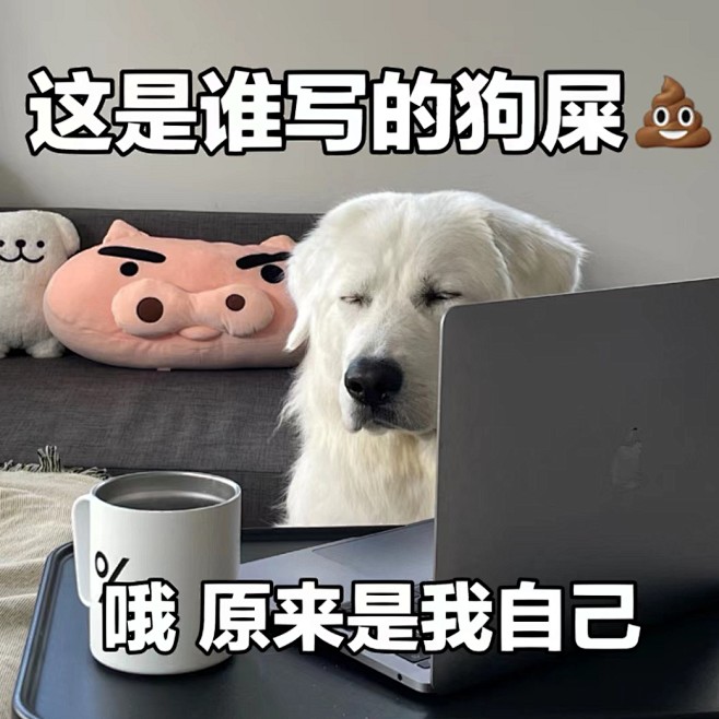 狗狗表情包