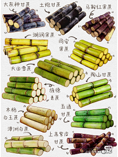 manas3193采集到美图
