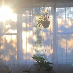 阳光照在窗台窗户上的光影_5440256217