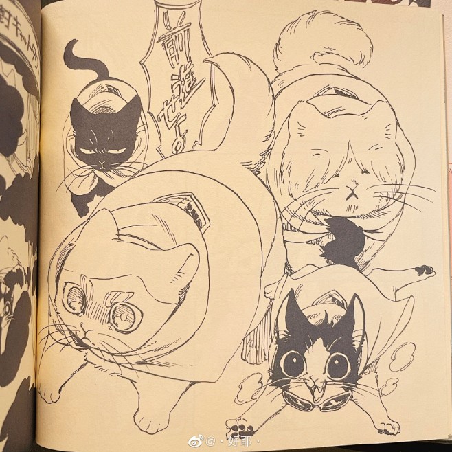 是说以前买过俩特别可爱的团兵猫猫本，16...