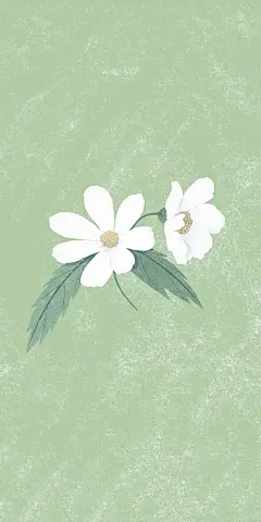 手机壁纸丨你不先对自己狠心，全世界就会对你狠心