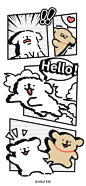 @线条小狗Maltese 的个人主页 - 微博