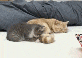stop it... I say sto...