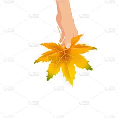 拿着,秋天,叶子,多色的,举起手,花束,色彩鲜艳,可爱的,九月,十月