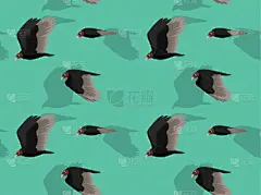 土耳其秃鹰,矢量,背景,卡通,二进制码,活力,壁纸,多样,飞,行动