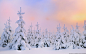 雪地