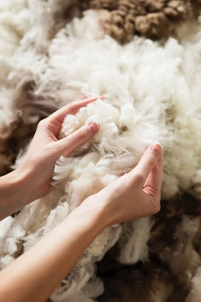 50年来，澳大利亚羊毛在中国的成功秘诀是...