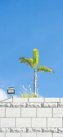 风景 手机壁纸 背景图