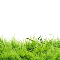 e2f01e0b9ef3bb6e3ea156be9f57cf0804d25b3b3b006a-FhqADI_fw1200
