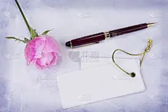 贺卡,空的,粉色,玫瑰,留白,美,水平画幅,情人节,古老的,夏天