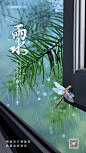 雨水2