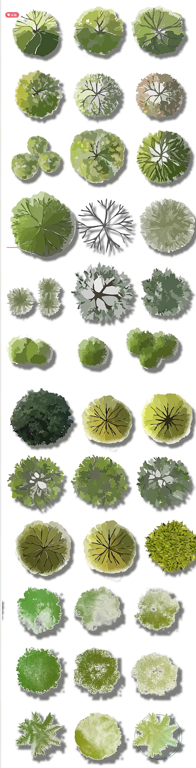 小清新水彩风彩平植物PSD素材建筑景观彩平图淡雅植物ps分层素材-花瓣网