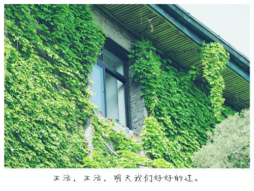 歌与词