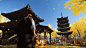 Ghost of Tsushima_20200726215058