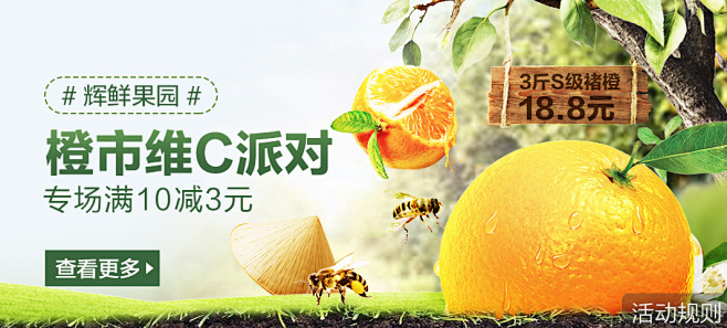 橙子水果