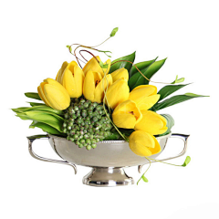 不想懂得~~~采集到Floriculture-花艺