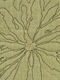 ▲《地毯》[H2]  #花纹# #图案# #地毯# (118)