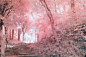 infrared photography -kamakura-