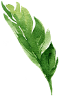@冒险家的旅程か★
水彩绿叶png 树叶png 海边沙滩植物素材 叶子芭蕉叶小清新素材