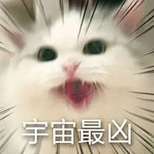 猫咪表情包，已完结－堆糖，美好生活研究所