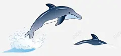 卡通手绘海豚插画 免费下载 页面网页 平面电商 创意素材