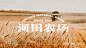 河田农场品牌视觉设计创意呈现-古田路9号-品牌创意/版权保护平台