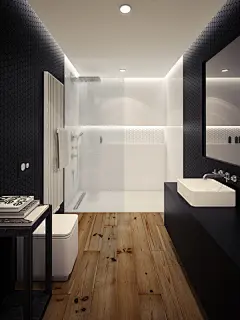 loft apartment (1)