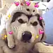 阿希๑