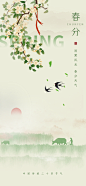 春分节气海报-源文件分享-ywjfx.cn