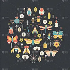 昆虫,夏天,几何形状,圆形,可爱的,小的,概念,动物学,收集