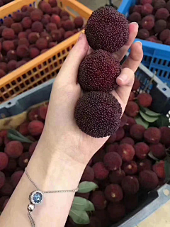 十九花开采集到杨梅