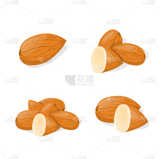 杏仁,特写,卡通,组物体,健康食物,计算机图标,蔬菜,素食,清新,食品素材-花瓣网