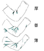 素材比較