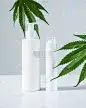 白色空白化妆瓶和麻叶在灰色工作室背景，模拟。生物有机产品，护肤理念