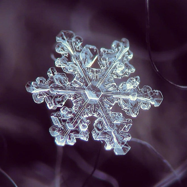 来看看微距镜头下的雪花 ，这是大自然送给...