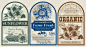 Vector design of  vintage labels for sunflower oil
