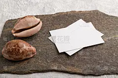 白纸名片，以天然石材和贝壳为背景的灰色混凝土模型。空白，侧视图，静物，拷贝空间。
