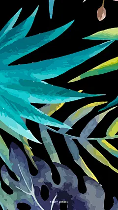 #扁平# #生活# #iphone# #手机# #life# #几何# #壁纸# #色彩# #黑白# #点线面# #白# #黑# #森林# #热带植物# #iPhone7# #安卓# #龟背竹#