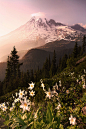 (5) Tumblr