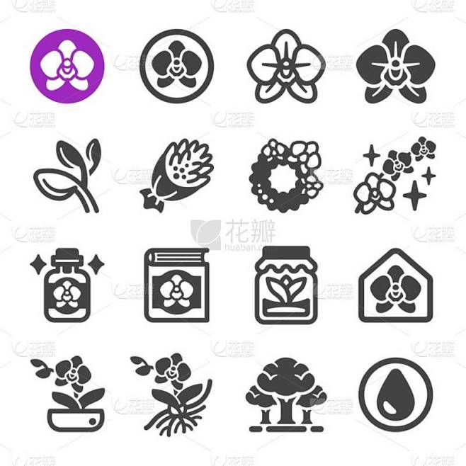 兰花图标集，矢量和插图