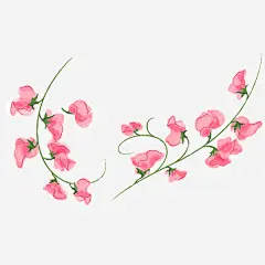 手绘花枝高清素材 手绘花素材 红花绿叶 花朵素材 花素材 免抠png 设计图片 免费下载