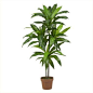 Nearly Natural 48"" Dracaena Silk Plant (Real Touch)