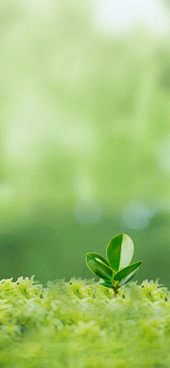 behan采集到背景素材
