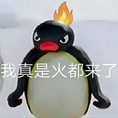 企鹅表情包