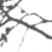 阳光窗户屋顶屋檐光影绿植物树叶投影免抠透明素材_PNG：