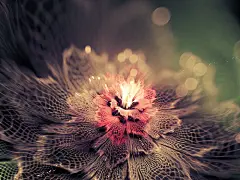 漂亮的3D花朵壁纸_素材下载_PS联盟